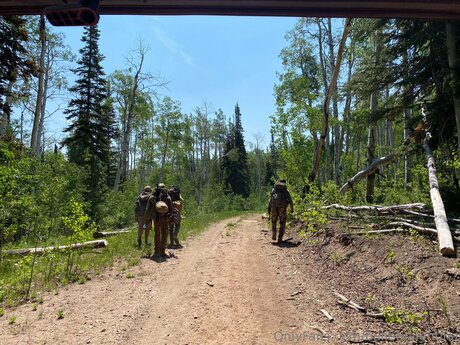 Bulletvalentina アダルトスター 写真