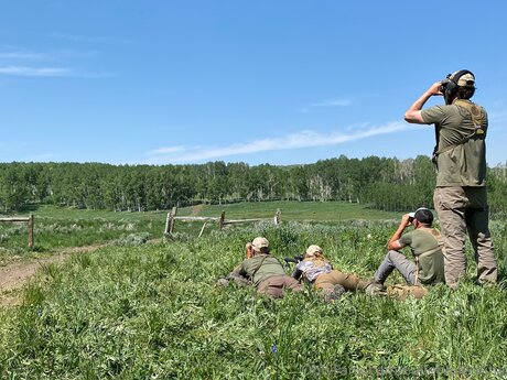 Bulletvalentina ホットスター ギャラリー