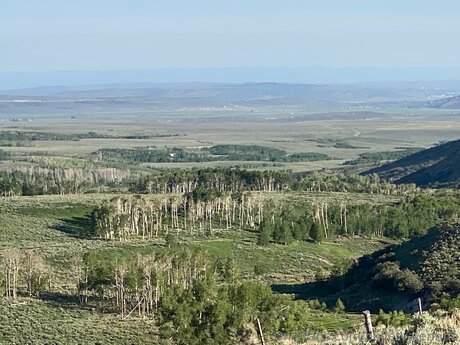 Bulletvalentina 最高のスター ギャラリー