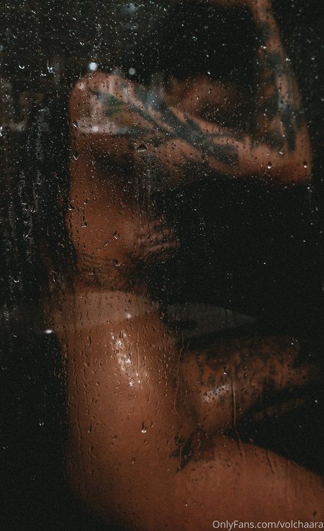 _volchara 無料のスター 写真