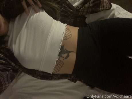 _volchara 無料スター 画像