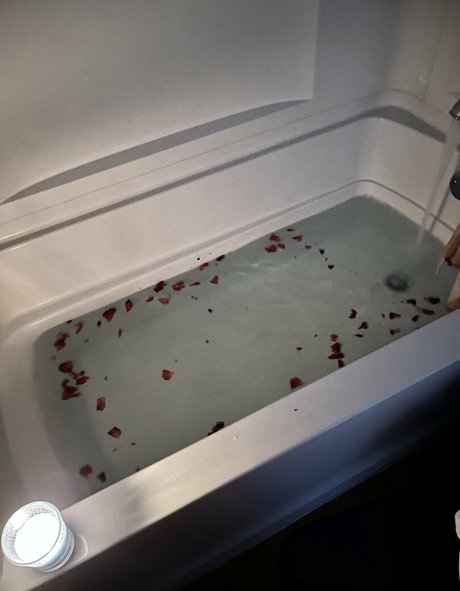 revolverthotcelot 完璧なスター アーカイブ