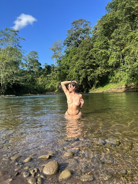 Starrysigh アートスター 写真