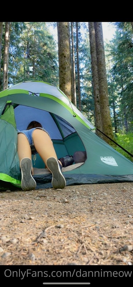 Danni Meow_ ポルノスター トップ 画像