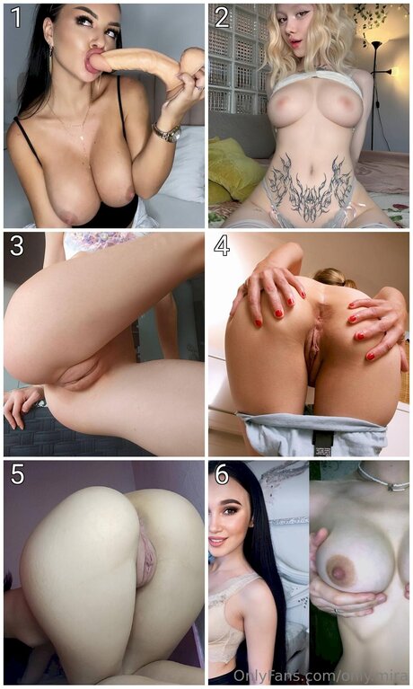 Only Mira HDモデル 画像