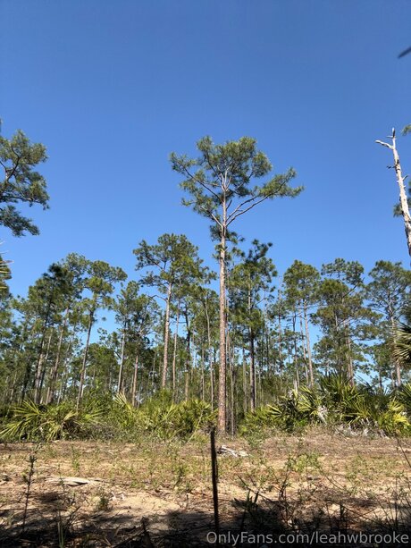 Leahwbrooke エロティックモデル 画像