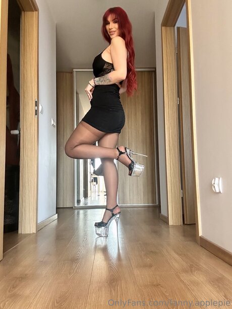 Fanny Applepie アートスター 画像