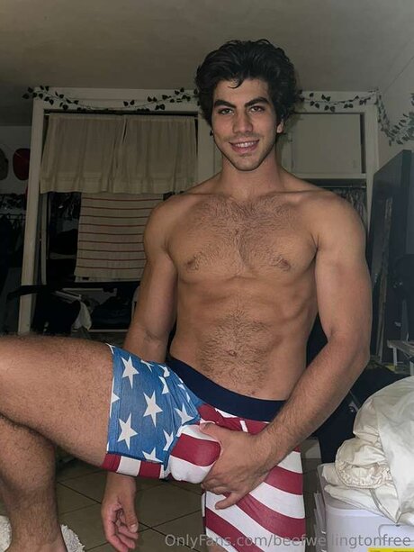 Beefwellingtonfree 高品質のポルノスター 画像