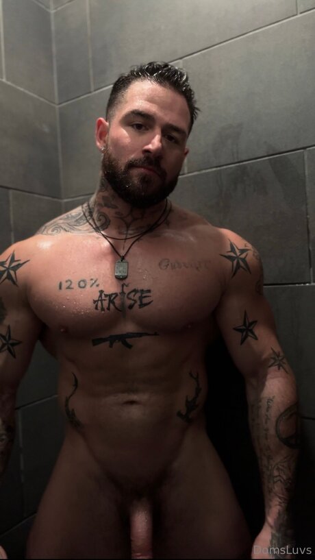 Domsluvz HDモデル 画像