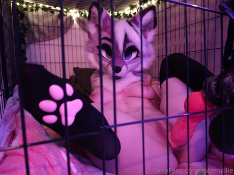 Cutiemillie スター 裸 ギャラリー