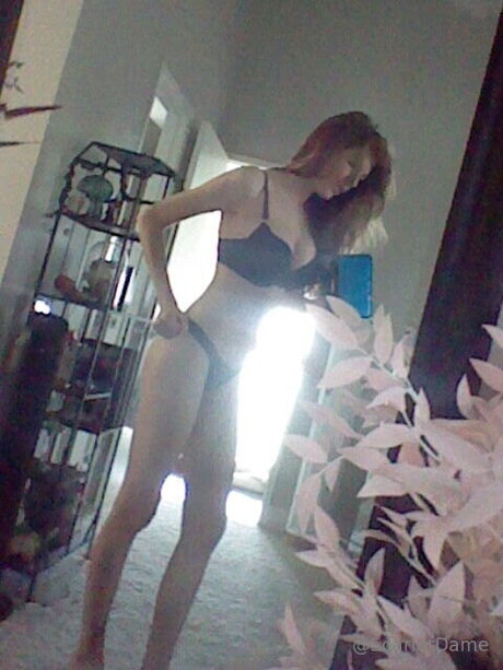 Scarletdame 完璧なスター 画像