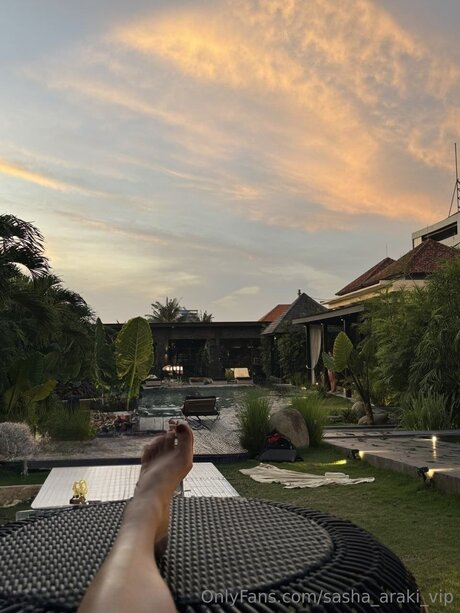 Sasha Araki Vip アダルトスター 写真