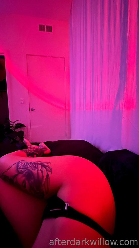 射精 顔射 OnlyFans 無料セクシー アーカイブ