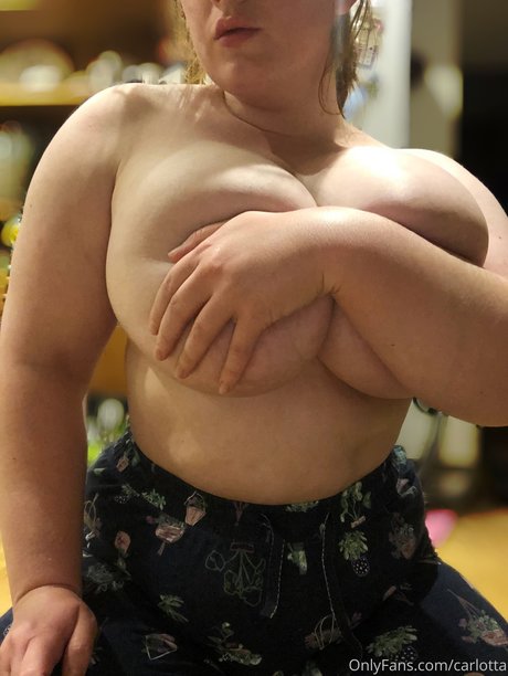 姉妹のOnlyFans セクシーヌード 写真