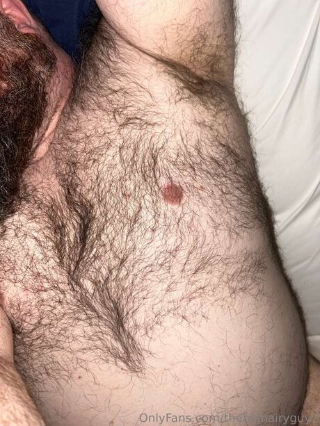 Thebighairyguy2 かわいいスター ギャラリー