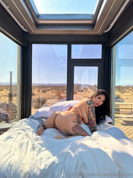 Connperignon ポルノスター 美しい ギャラリー