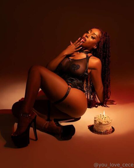 Ceceswetdreams ポルノスター xxx 写真