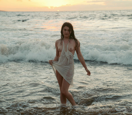 Claire Zeal xxxモデル 写真