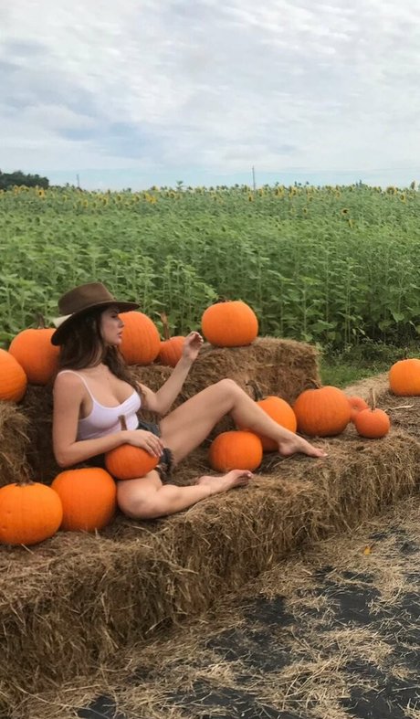 アジア人のアナルオンリーファン 限定 画像