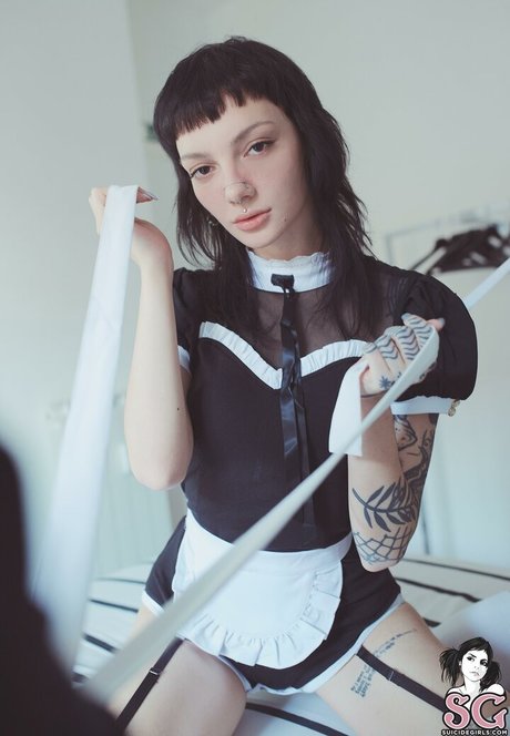 Zzef 無料のポルノスター 画像