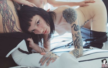 Zzef 最高のスター 写真