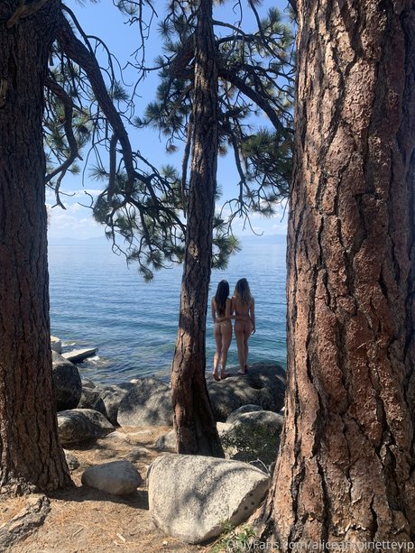 官能的なOnlyFans 無料 アーカイブ