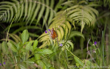 zoeykatexo2 ヌードスター 写真