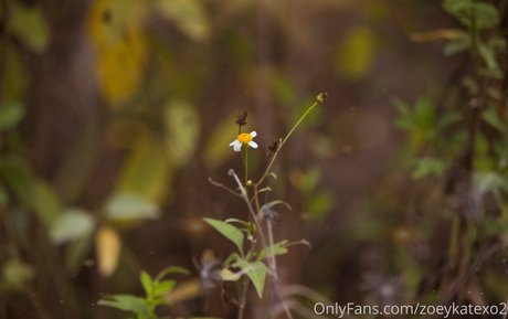 ブルネットのPOV OnlyFans セクシー 写真