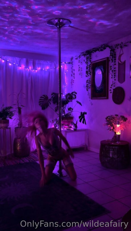 Emerald Wildea 素敵なスター 画像