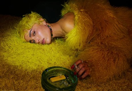 Zoe Kravitz アートポルノスター 写真