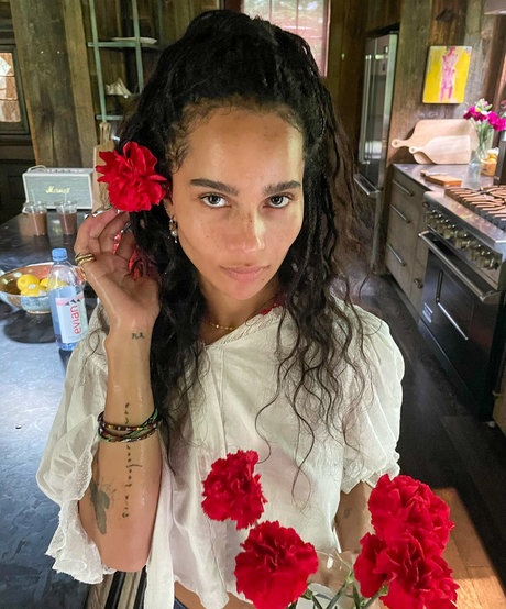Zoe Kravitz ホットなポルノスター 写真