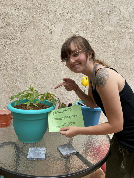 Caliwife13 Emma North ポルノ女優 写真