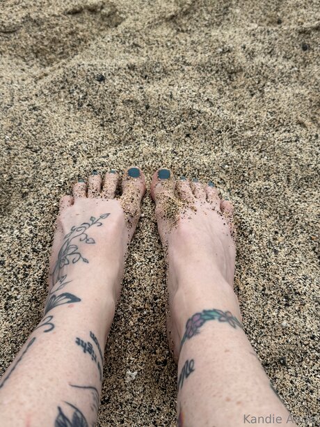 Tattedraiderette ポルノスター ベスト 写真