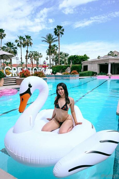 Starniye HDポルノスター 写真