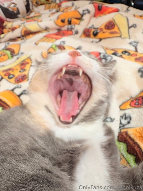 アマチュアトランスオンリーファン 美しいポルノ ギャラリー