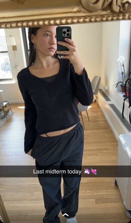 Lilychee アートポルノスター 写真