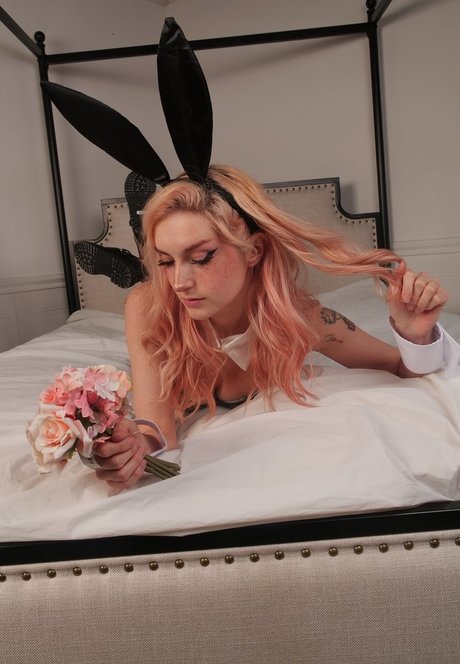 アナル無料OnlyFans ホットヌード 画像