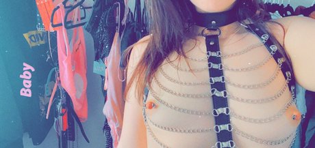 anelwonderland トップスター ギャラリー