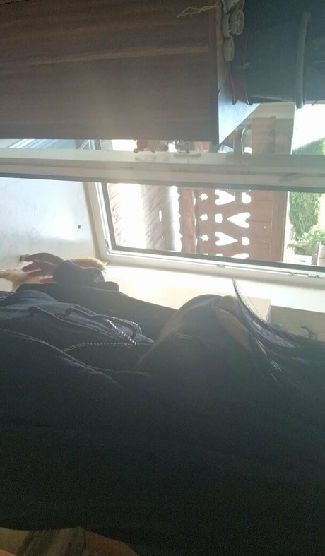 thethreeheadedsnake スター ヌード ギャラリー