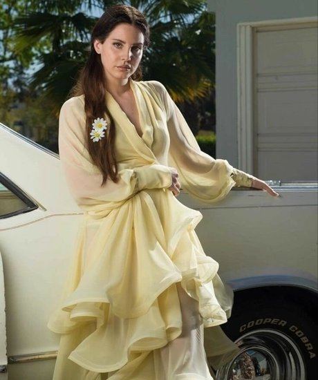 ブロンドオンリーファン ベスト 写真