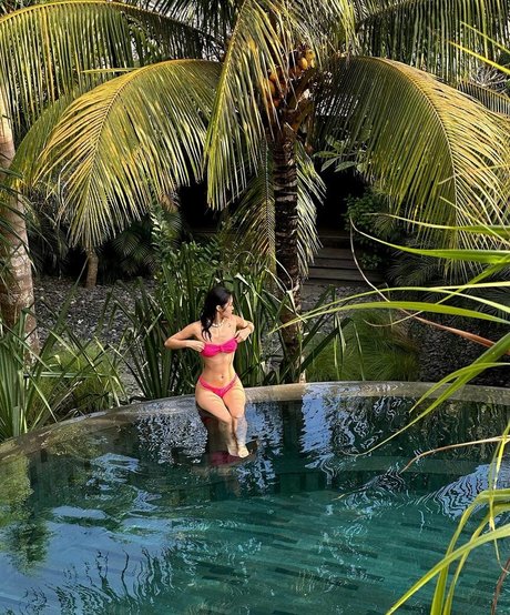 Dadacafe かわいいスター 写真