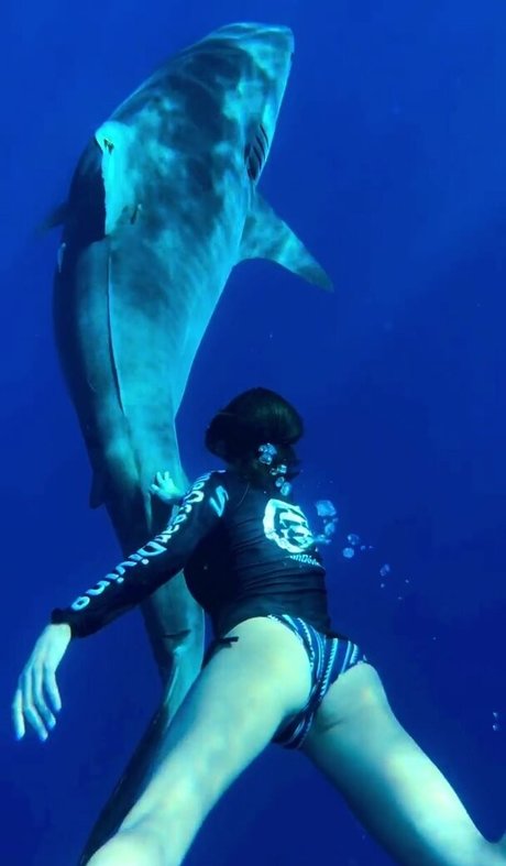 Nina Dobrev 裸のスター 写真