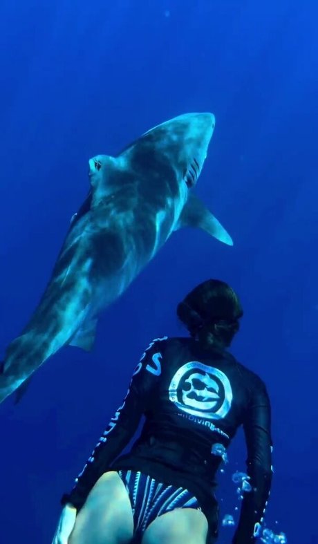 Nina Dobrev セクシーなスター 写真