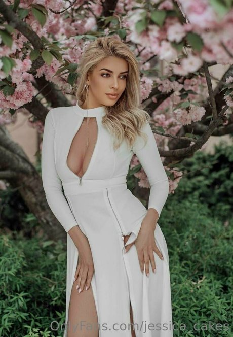 jessica cakes 高品質のスター 写真