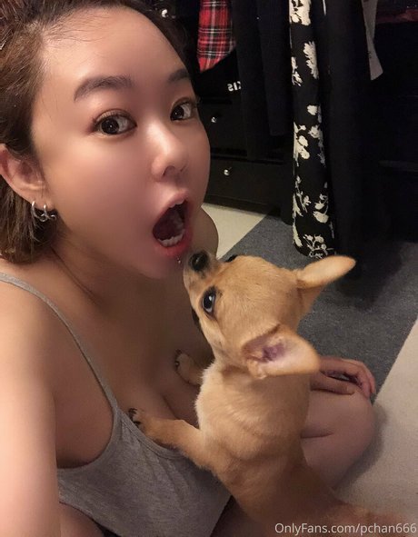 Pchan666 独占ポルノスター 画像