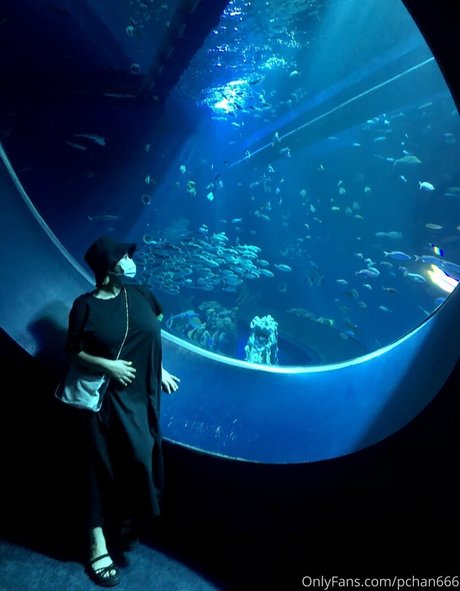 OnlyFansを無効にしました 無料xxx 写真