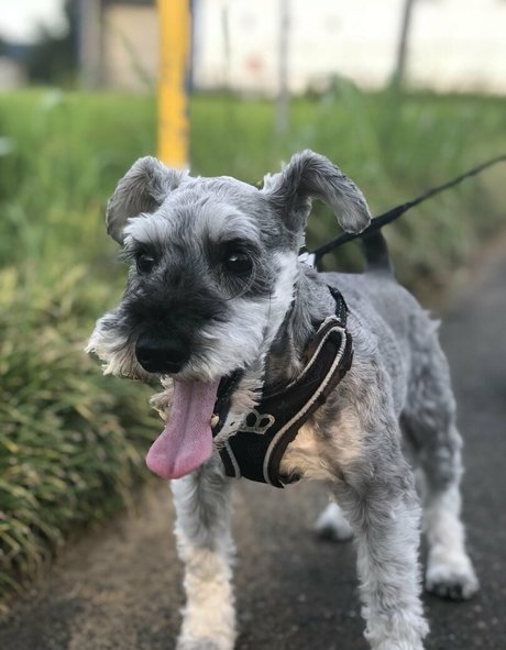 Pchan666 エロティックモデル 画像