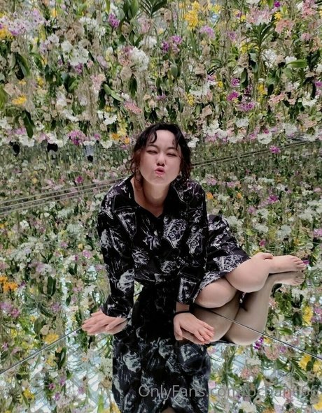 Pchan666 トップスター 写真