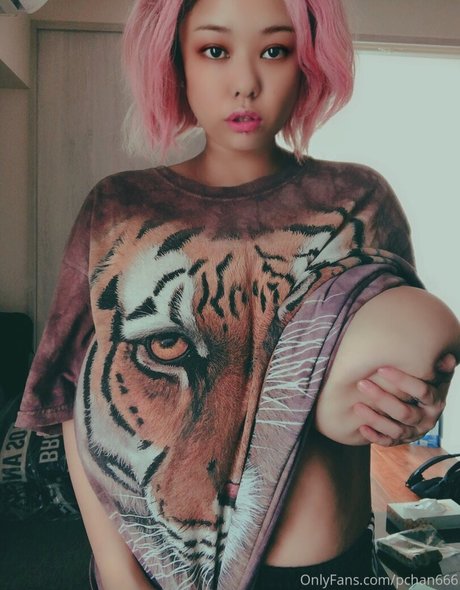 Pchan666 top profile image