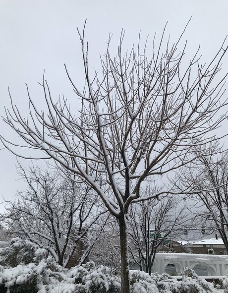 裸の写真 OnlyFans 美しいポルノ 写真